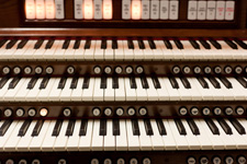 - /products/organs photo